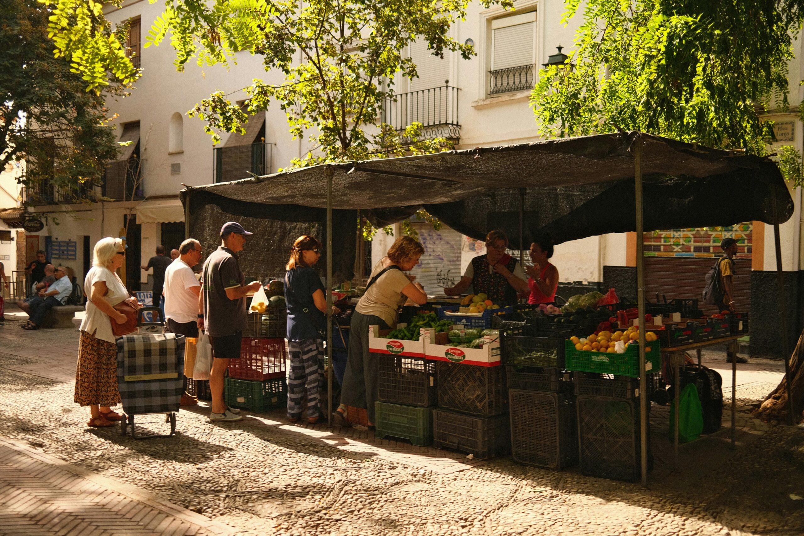 Regionaler Marktstand mit frischen, unverpackten Lebensmitteln als nachhaltige Geschenkidee für Tier- und Naturfreunde