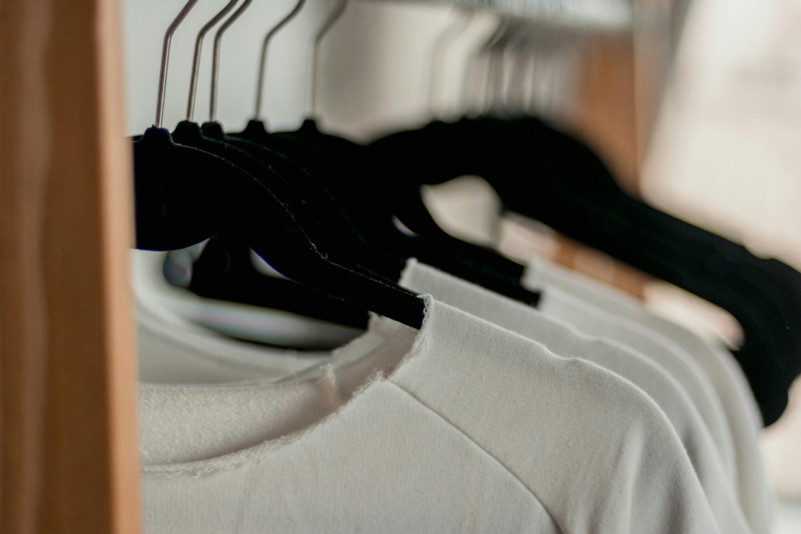 Qualitativ hochwertige Basics aus Bio-Qualität - langlebige T-Shirts und nachhaltige Kleidung für Damen und Herren