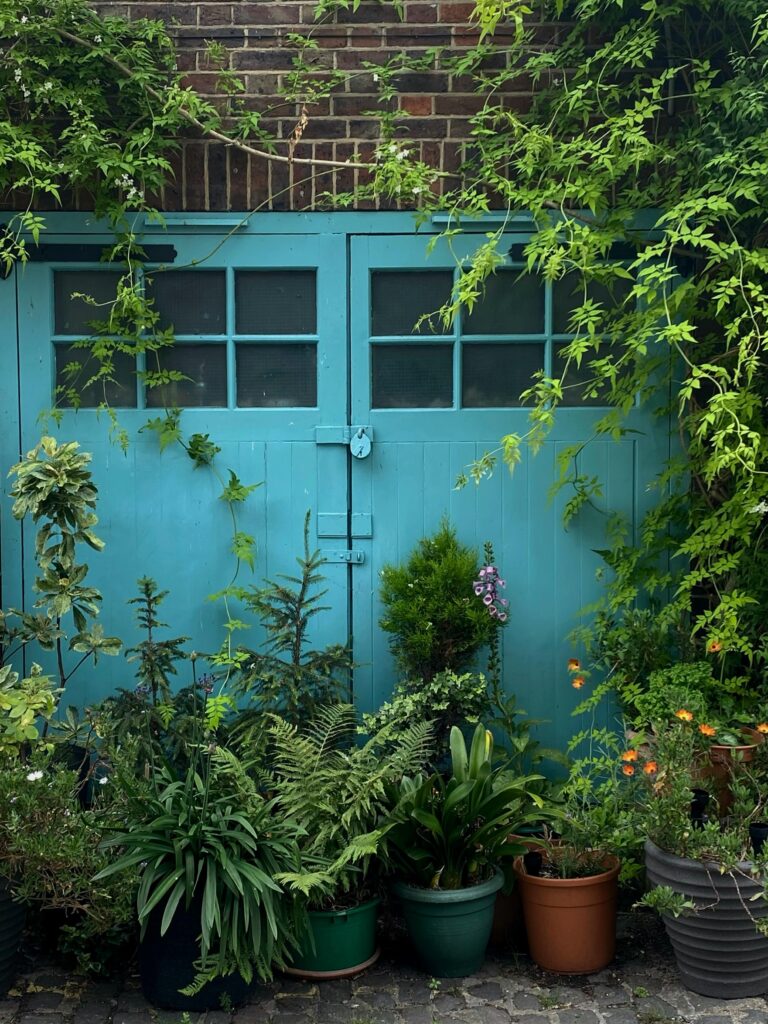 Urbane Gartenidylle: Türkisfarbene Garagentür umrankt von Kletterpflanzen, davor verschiedene Topfpflanzen wie Farne und Blühpflanzen – Begrünung von grauen Stadtflächen in Hamburg
